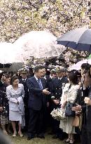 Premier Mori speaks with guests under cherry blossom trees+